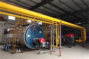 安徽亳州藥業10噸和4噸燃氣蒸汽鍋爐項目